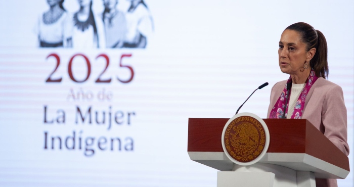 Si bien la evaluación de Sheinbaum goza de alta popularidad, incluso en el manejo de las relaciones con EU, el uso de estas cifras han de ser interpretativas.