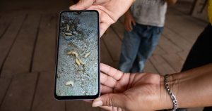 El Departamento de Salud y Servicios Humanos (HHS) informó que el primer caso de una infección del gusano barrenador en un ser humano fue confirmado en EU.