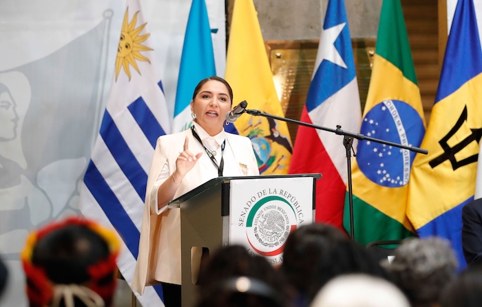 Delia Catalina Ramírez, Congresista de la Cámara de Representantes de EU 