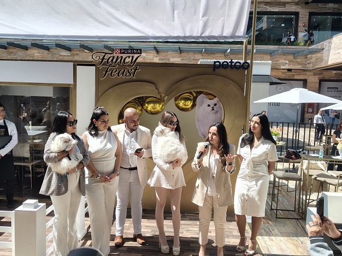 Experiencia para cat lovers