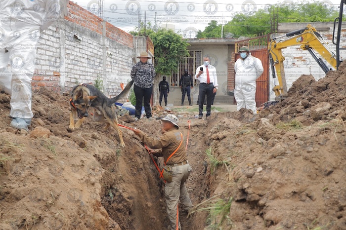 Son 32 cuerpos los encontrados en una fosa clandestina ubicada dentro de un inmueble de la comunidad La Calera, en Irapuato, en el estado de Guanajuato.