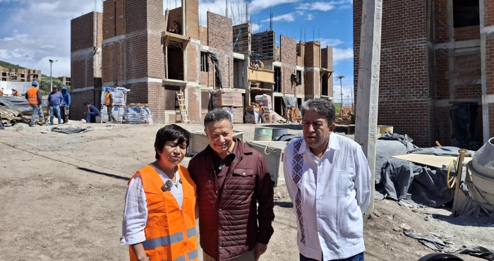 Fases del programa Vivienda para el Bienestar.