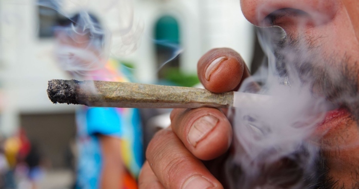 Cannabis: la legalidad negada