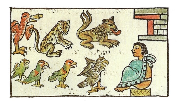 Revista-libro jaguar. Artes de México