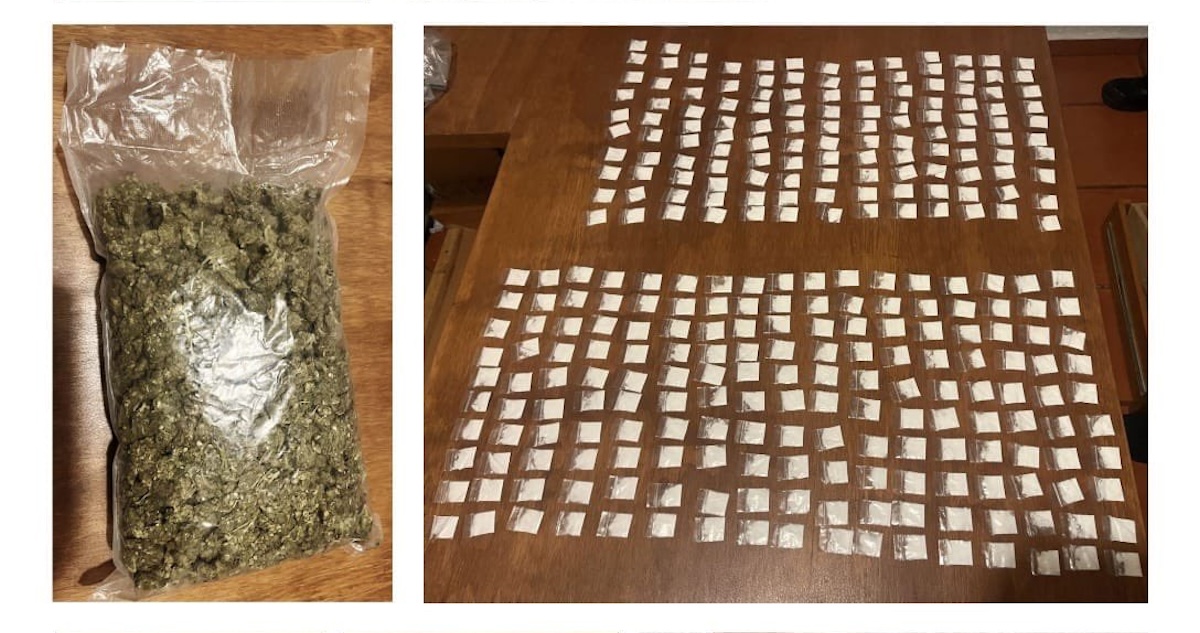 La SSC-CdMx logró asegurar más de 500 mil dosis de drogas durante dos cateos realizados en inmuebles de las alcaldías Tlalpan y Coyoacán.