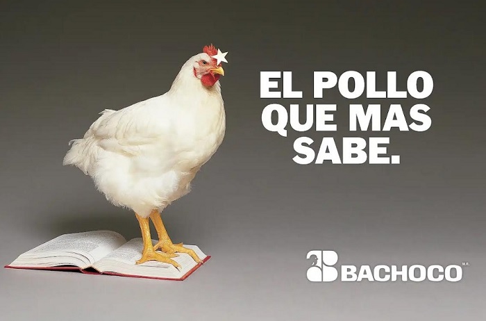  Publicidad Bachoco