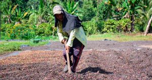 Trump ha visto cómo sus políticas antimigratorias, que incluyen redadas, han causado afectaciones al campo estadounidense, que se va quedando sin trabajadores.
