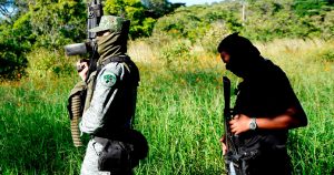 Las traiciones que crearon violentos cárteles: Zetas, Beltrán y Caballeros Templarios