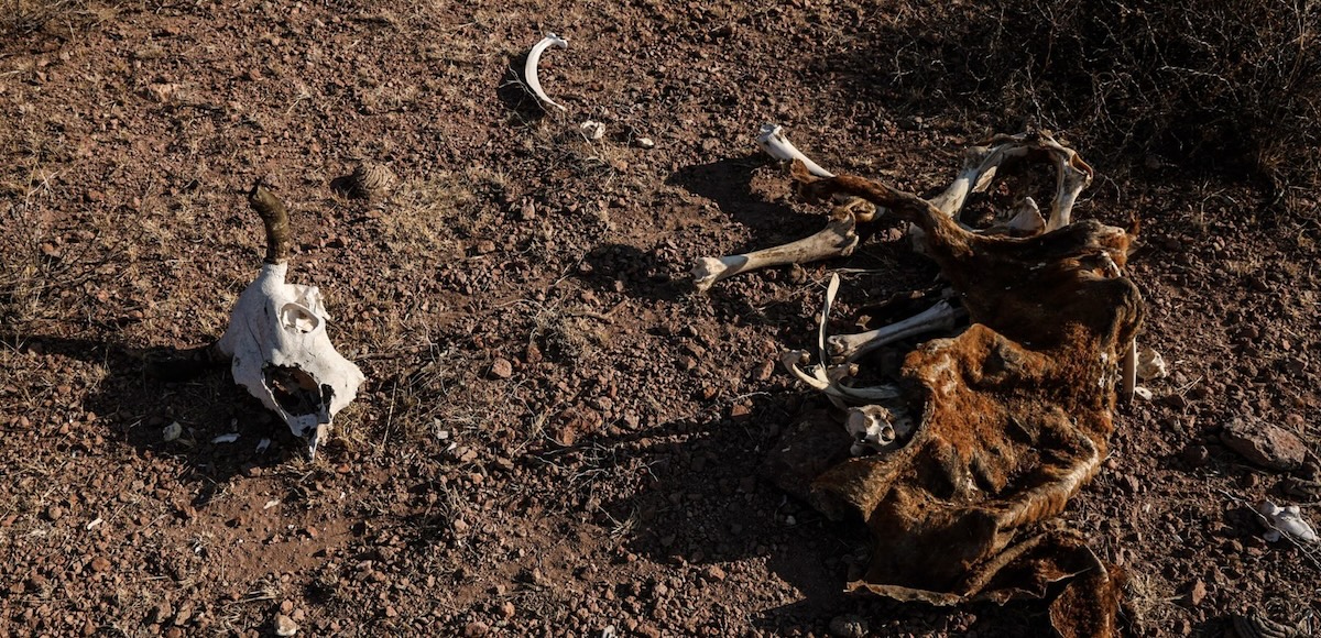 Los humanos hemos calentado el planeta al punto de alterar los ciclos naturales, ocasionando sequías, megahuracanes, incendios, incremento del nivel del mar. Foto: Cuartoscuro.