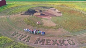 El artista estadounidense Stan Herd creó una monumental obra en un campo de cultivo de EU para rendir homenaje a la mujer indígena mexicana.
