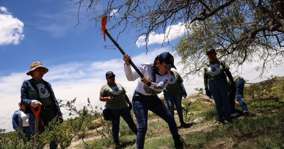 Colectivos de buscadoras en Zacatecas.