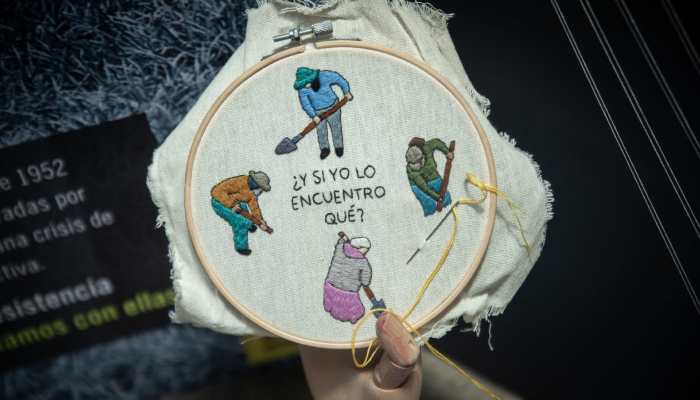 Colectivos de buscadoras.