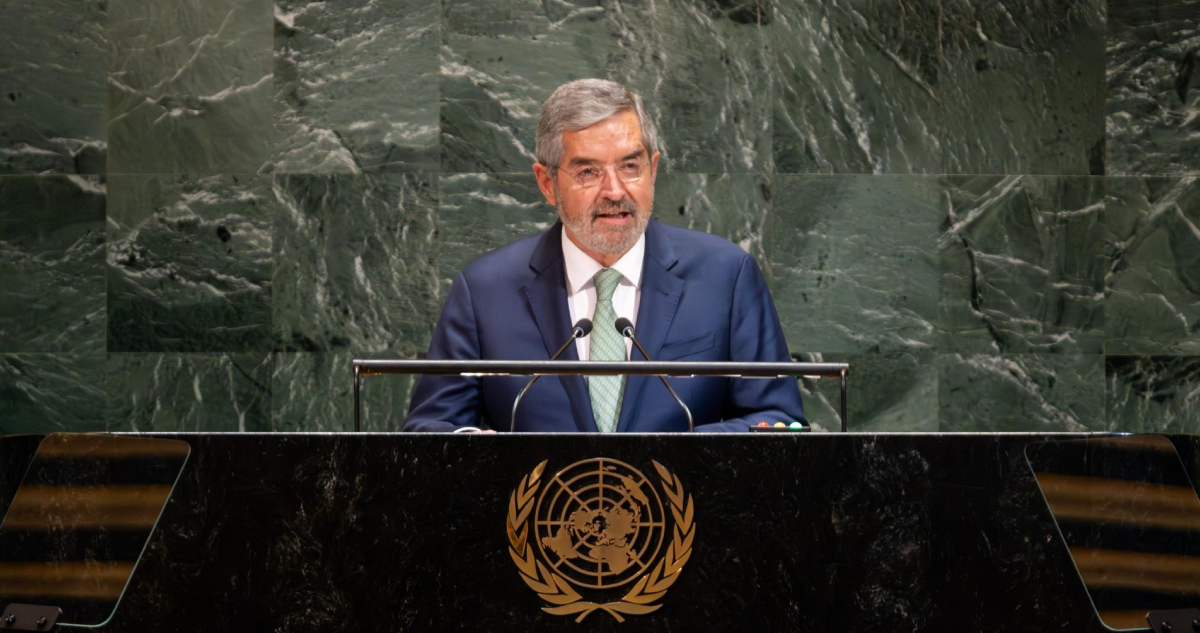 Juan Ramón de la Fuente ONU