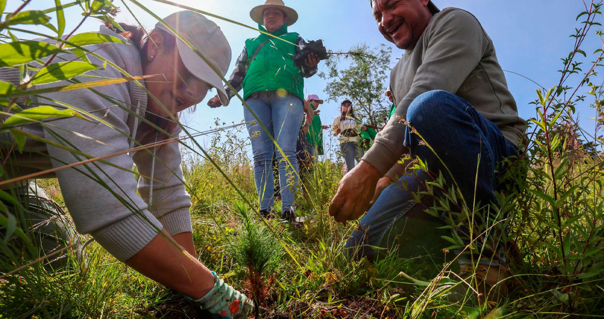 Decrecimiento y comunitarismo social VII