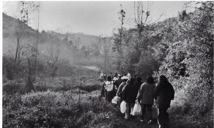 Chamanismo de Artes de México