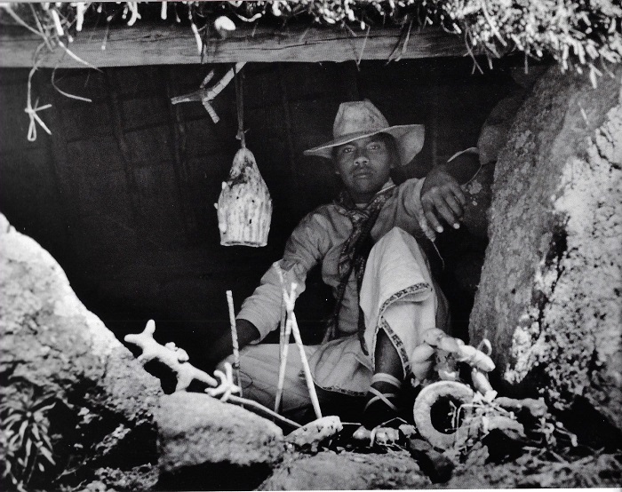 Chamanismo de Artes de México