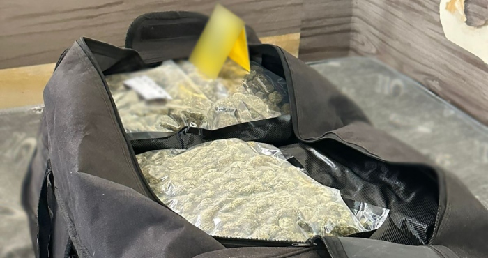 Invernaderos de mariguana en plena CdMx.