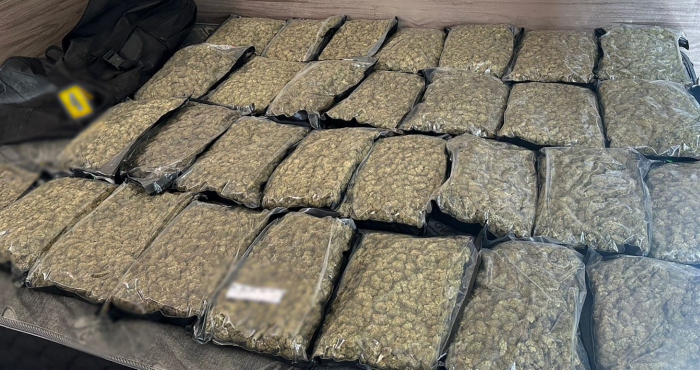 Invernaderos de mariguana en plena CdMx.