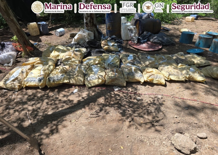 La Semar encabezó un operativo Durango, que resultó en el desmantelamiento de laboratorios clandestinos y el decomiso de unas 21 toneladas de metanfetaminas.