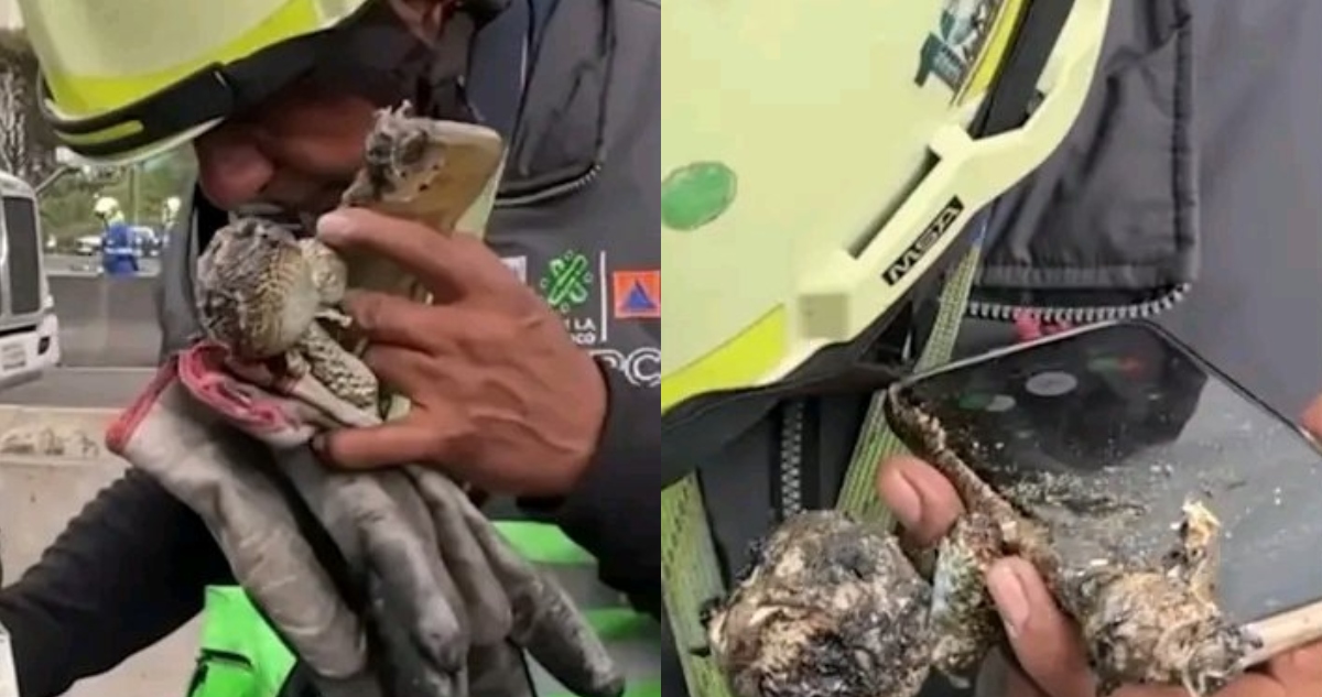 Un celular calcinado permitió a Protección Civil contactar a los padres de Ana Daniela, estudiante de la UNAM que resultó herida en la explosión en Iztapalapa.