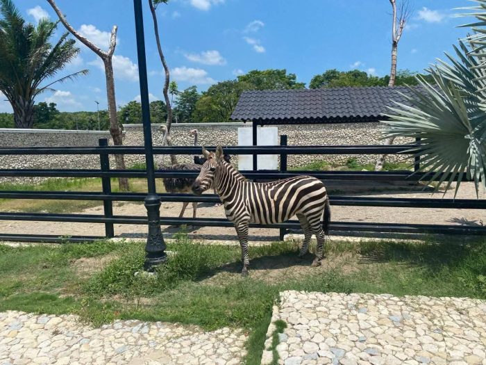 Autoridades federales catean inmueble en Centro, Tabasco