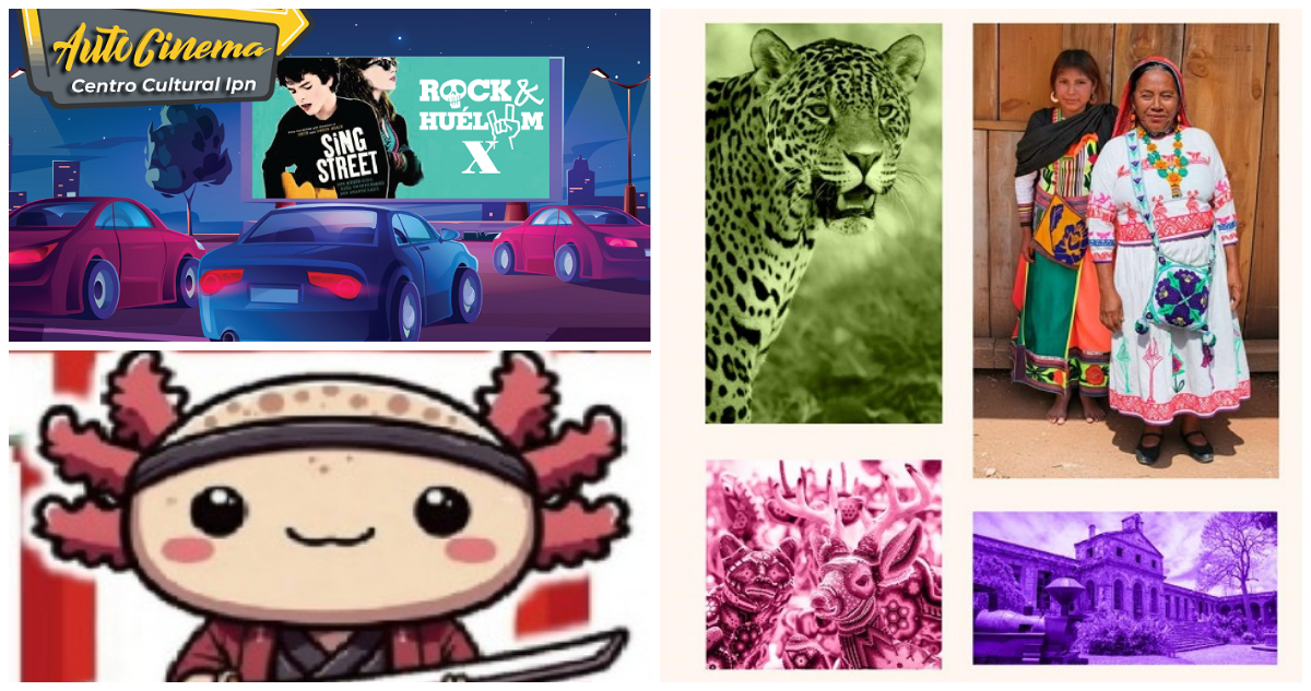 ¿Qué hacer el fin de semana?