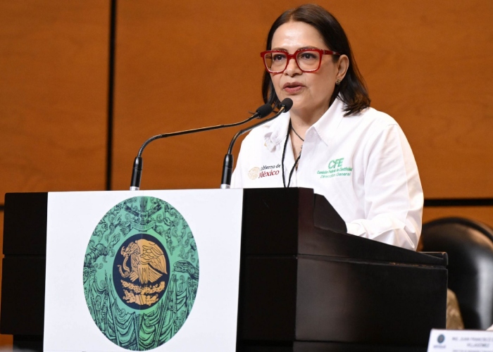 The Federal Electricity Commission reported yesterday that at the end of the third quarter of this year it obtained a net profit of 524 billion pesos.