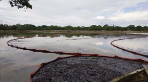 El arroyo de Citlaltepec y el río Pantepec se vieron afectados por varios kilómetros.