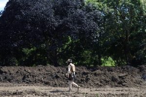 En la localidad de Citlaltépetl, en el municipio de Álamo, Veracruz, un elemento del Ejército Mexicano supervisa la zona afectada por el derrame de hidrocarburo.