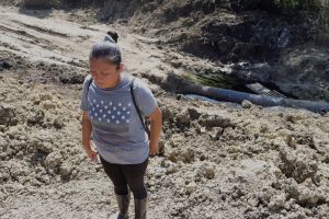 Los habitantes de las comunidades afectadas han visto perder sus sembradíos, además de las afectaciones en sus hogares.