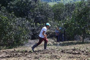 Veracruz sufrió primero las lluvias y luego el derrame en el norte del estado.