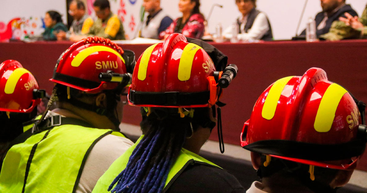 Gestión de riesgos: inversión política y técnica