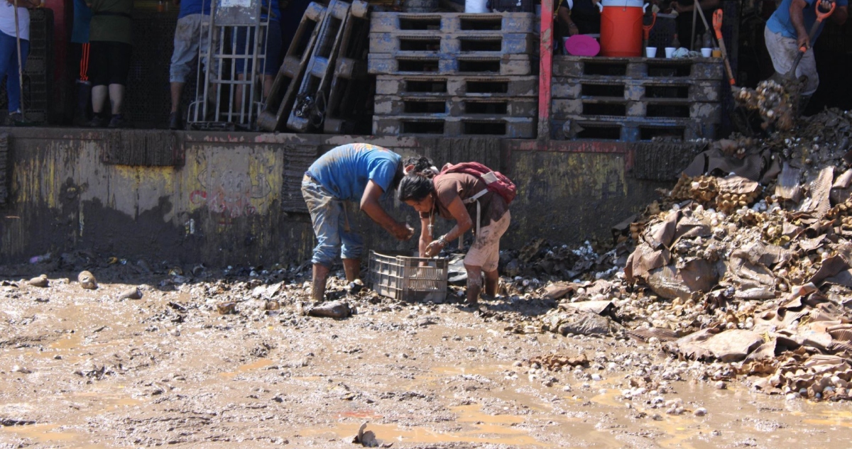 El Gobierno federal informó que la cifra de muertos por las lluvias se elevó a 47 en cuatro estados: 18 en Veracruz, 16 en Hidalgo, 12 en Puebla y uno en Querétaro.