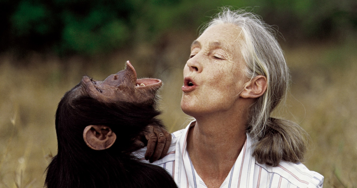 Jane Goodall, referente mundial de la primatología y activista medioambiental, murió de un paro cardiorrespiratorio, reveló el Departamento Forense de LA.