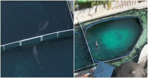 Empty The Tanks México