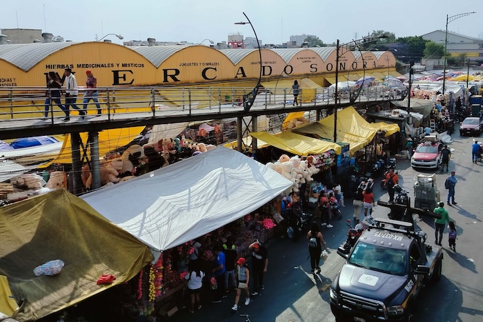 La Alcaldesa de Venustiano Carranza afirmó que a partir del 2026 estará prohibida la venta de animales en el Mercado de Sonora de la CdMx.