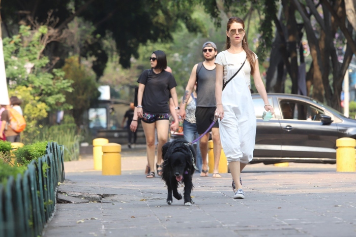 Mujer pasea a su perrito en la CdMx