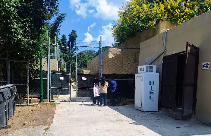 La Profepa informó que realizó la clausura del zoológico “La Pastora”, en el municipio de Guadalupe, Nuevo León, debido al maltrato contra la osa "Mina".