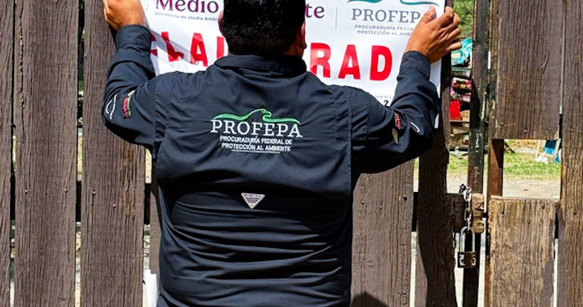 La Profepa informó que realizó la clausura del zoológico “La Pastora”, en el municipio de Guadalupe, Nuevo León, debido al maltrato contra la osa "Mina".