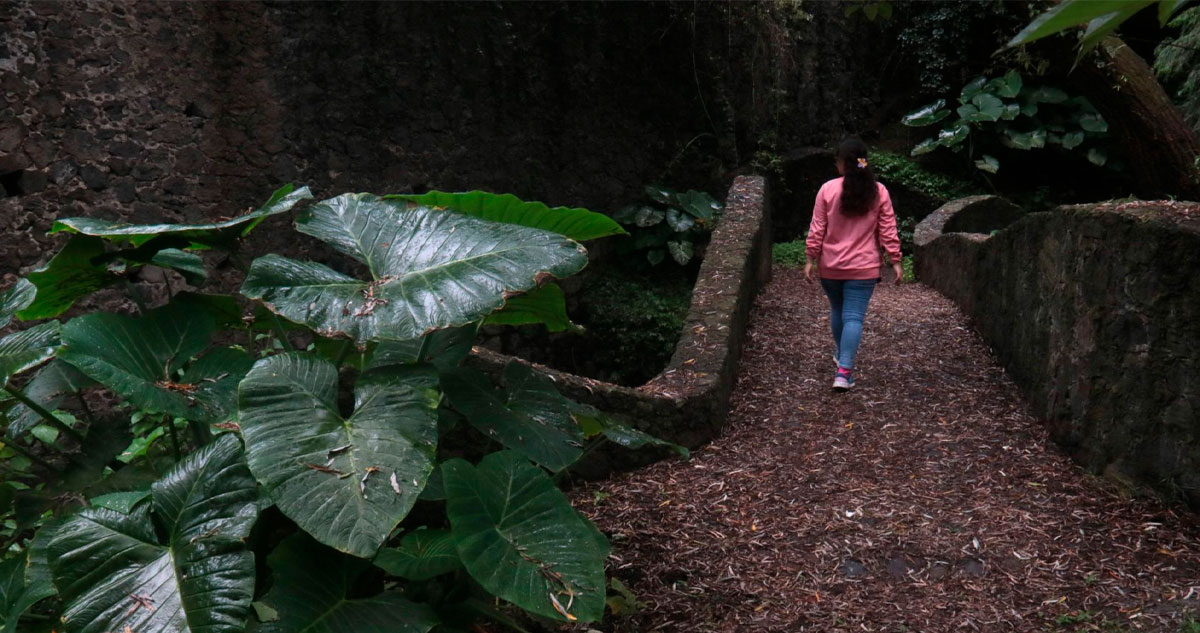 Vivir con sabiduría