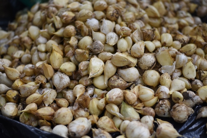 Since ancient times, humanity has turned to natural elements to maintain and regain health.