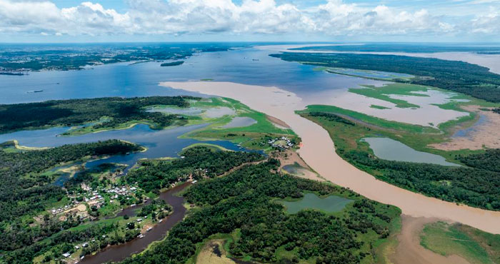 COP30: el tiempo de la Amazonia