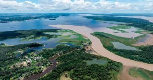 COP30: el tiempo de la Amazonia