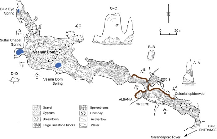 Científicos descubrieron una red de seda en una cueva de Albania que cubre más de cien metros cuadrados y alberga aproximadamente a unas 111 mil arañas.