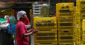 Empleo crece en México en octubre; sube 1.1 millones comparado a 2024