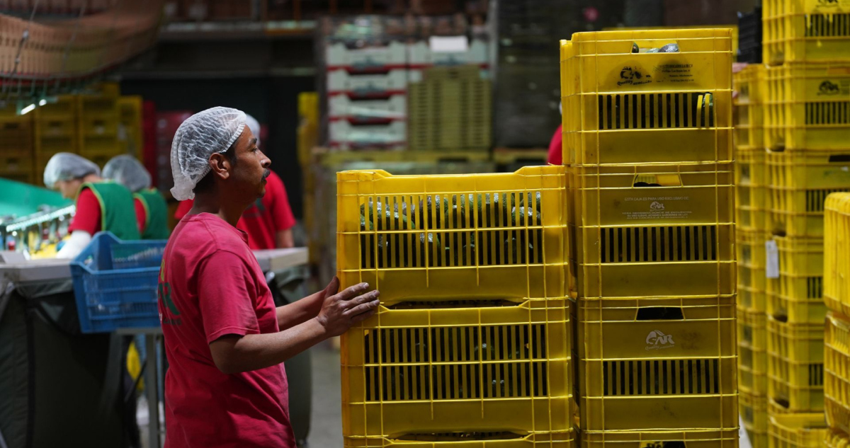 Empleo crece en México en octubre; sube 1.1 millones comparado a 2024