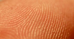 Qué son y para qué sirven las huellas dactilares