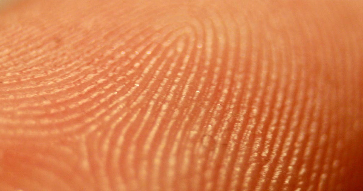 Qué son y para qué sirven las huellas dactilares