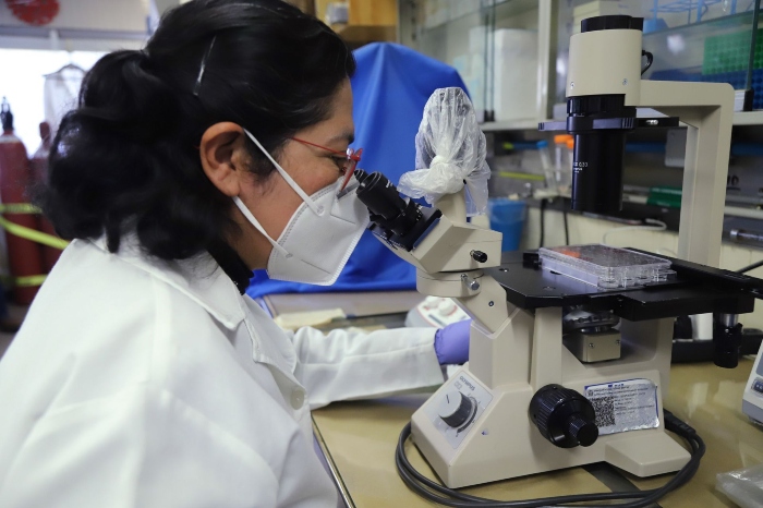 Instituto Mexicano del Seguro Social (IMSS)