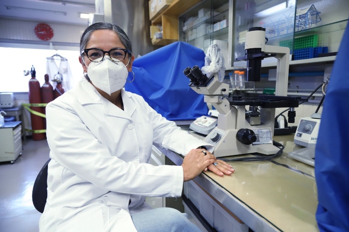 Instituto Mexicano del Seguro Social (IMSS)